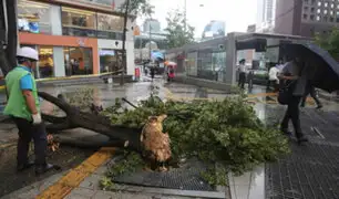Corea del Sur: muerte y destrucción tras paso de tifón 'Lingling'