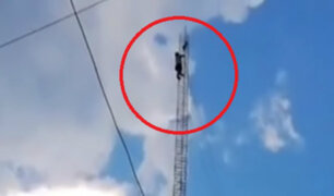 Junín: vecino arriesgó su vida para rescatar a gato atrapado en torre