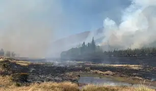 Minam: Hasta el momento se han registrado 19 incendios forestales