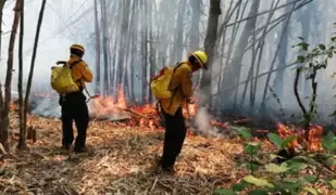Expertos advierten que incendios forestales en Bolivia son incontrolables