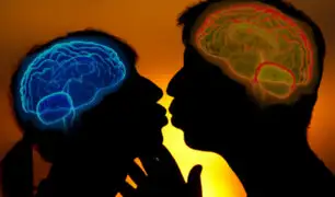 Estudio revela que el amor no nace en el corazón, sino en el cerebro