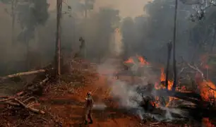 Fondos para la reforestación de la Amazonía permanecen suspendidos
