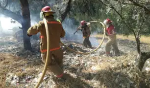 Incendio forestal arrasó con 15 hectáreas de bosque cerca del Parque Huascarán