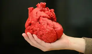 Ecuador: imprimen órganos humanos con patologías en 3D