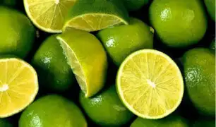 Limones peruanos en riesgo por plaga que afecta a cítricos de países latinoamericanos