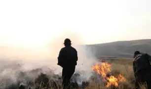 Huancayo: controlan incendio forestal que arrasó con 20 hectáreas de pastizales