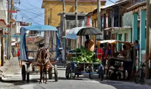 Cuba: recurren a caballos y bueyes por escasez de combustible