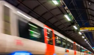 Tren de cercanías: ¿Cuánto demoraría trayecto de Lima a Ica?