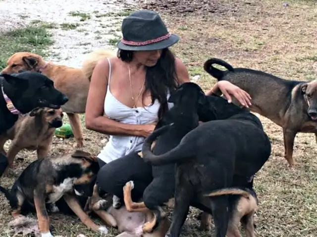 Mujer refugió a 97 perros para salvarlos del huracán Dorian