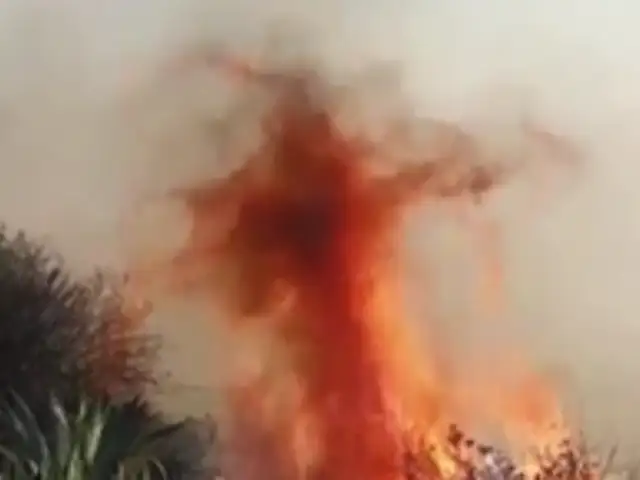Pasco: pobladores y bomberos luchan contra incendio forestal