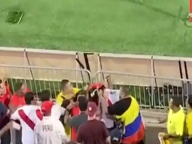 Perú vs Ecuador: malos hinchas se agarraron a golpes en pleno partido