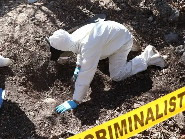 Hallan más de 100 bolsas con restos humanos en un bosque de México