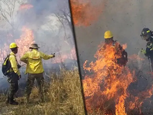Bolivia: se agravaron incendios forestales y hay riesgo de que arrase poblados
