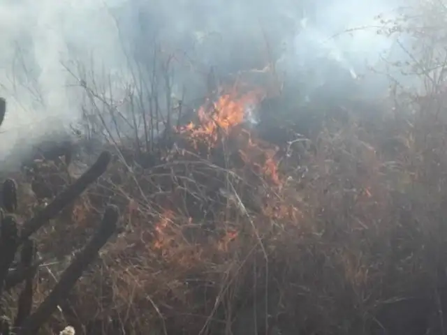 Incendio forestal arrasó con cinco hectáreas de pastos naturales en Huaraz