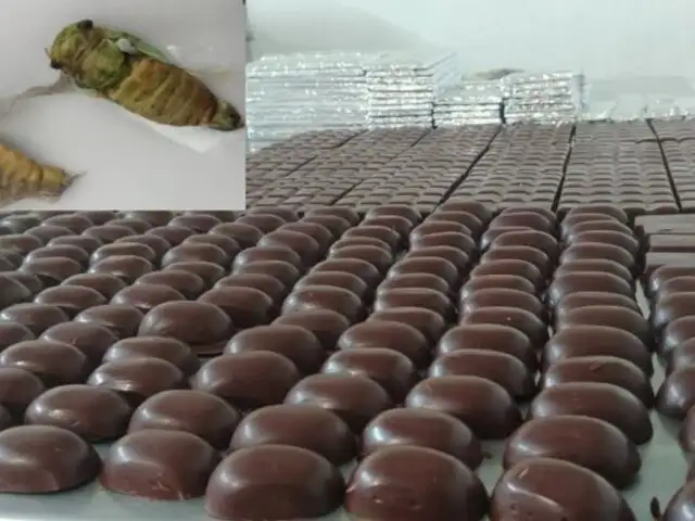 Junín: crean chocolate a base de suri y chicharra para combatir la anemia