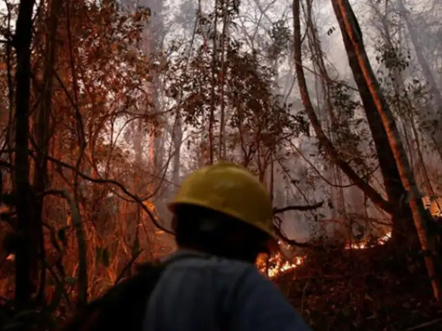 Bolivia: bomberos pierden esperanzas de sofocar las llamas a medida que crece incendio forestal