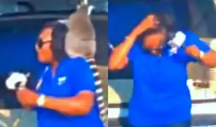 Lémur le quitó peluca a reportera durante trasmisión en vivo