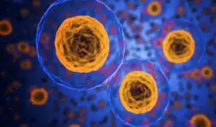 Nobel de medicina: descubren relación entre células y oxígeno que ayudará a combatir cáncer