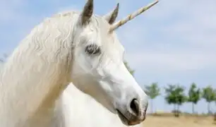 Los unicornios sí existieron pero no fueron como te los imaginas