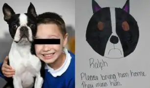 Los emotivos carteles de un niño que busca a su perro robado