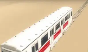 Tren de cercanías Lima-Ica será adjudicado el 2021