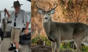 Hombre dispara a ciervo pero este ''resucita'' y lo mata