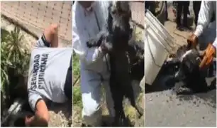 San Luis: serenos rescatan a perro que cayó en canal de regadío