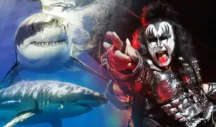 Kiss tocará para los tiburones blancos en Australia