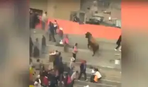 Villa María del Triunfo: toro ataca a mujer durante evento taurino