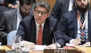 Elecciones 2020: Canciller indicó que peruanos que residen en Venezuela no votarán