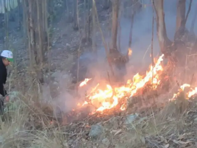 Áncash: extinguen incendio que arrasó con cuatro hectáreas de pastos
