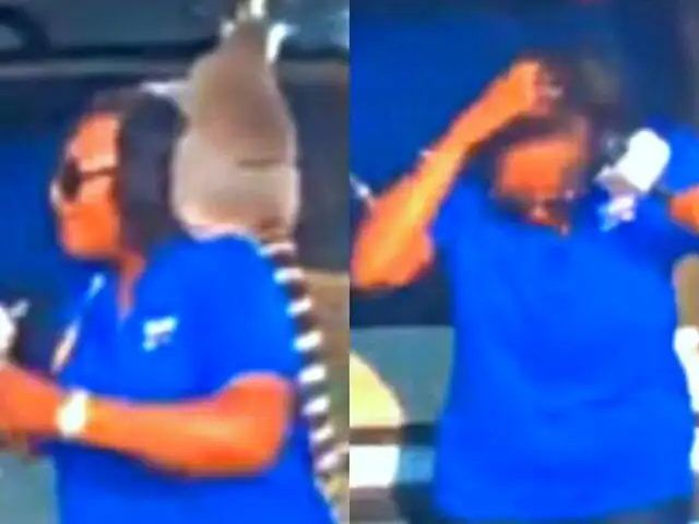 Lémur le quitó peluca a reportera durante trasmisión en vivo