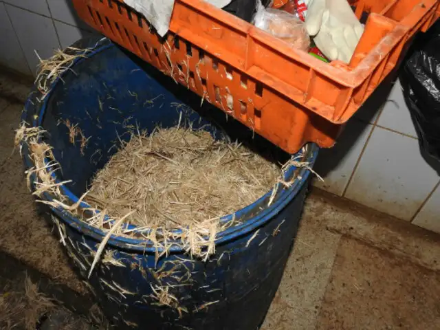 VES: clausuran avícola que funcionaba en condiciones insalubres