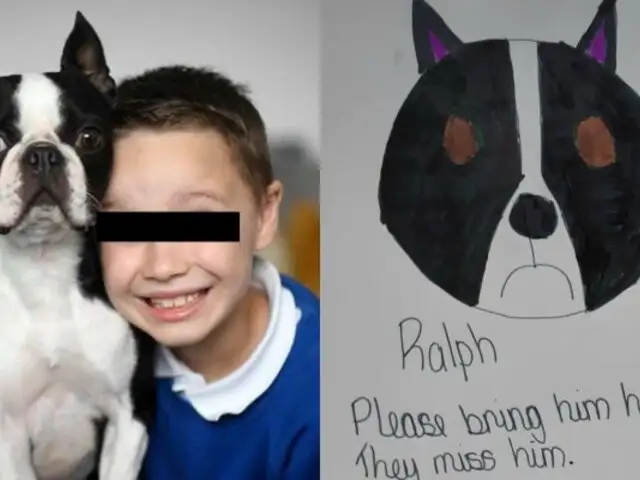 Los emotivos carteles de un niño que busca a su perro robado