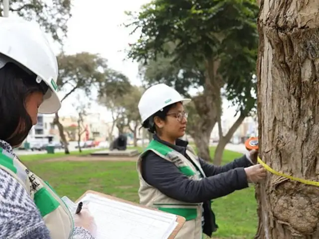 Magdalena realiza censo de árboles para promover su preservación