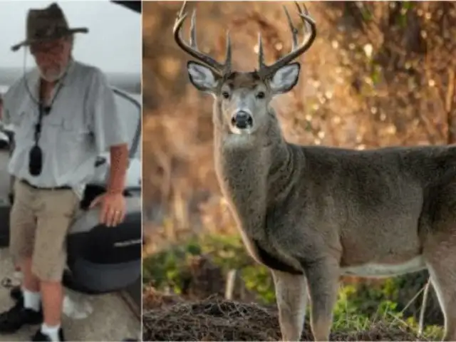 Hombre dispara a ciervo pero este ''resucita'' y lo mata