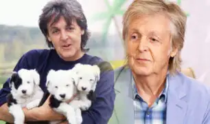 Paul McCartney relanza canción para frenar la experimentación animal