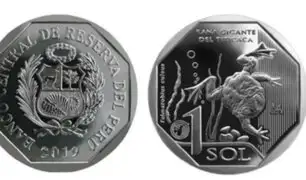 BCR: desde hoy circula moneda de S/1 alusiva a rana gigante del Titicaca
