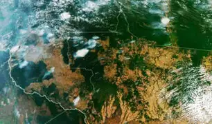 NASA: imagen de satélite confirma que la Amazonía se está secando por actividad humana