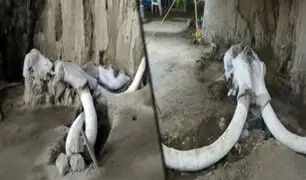 México: hallan trampas artificiales con huesos de mamuts
