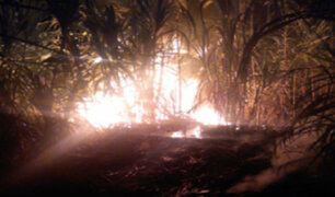 Áncash: bomberos controlaron incendio que destruyó pastizales y cultivos
