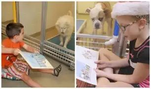 Niños leen cuentos a perros abandonados para reducir su ansiedad