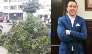 Elecciones 2020: Mijael Garrido Lecca es multado por podar árbol que cubría su propaganda
