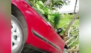 Bajada Balta: dos autos casi caen a club Waikiki en los últimos tres meses