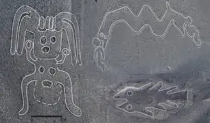 Sepa cómo se logró descubrir los 142 nuevos geoglifos en Nazca