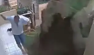 Hombre explota su patio para eliminar plaga de cucarachas