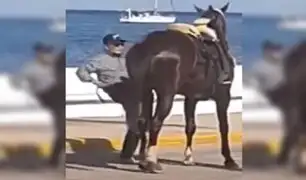 Maltrato animal: hombre patea a caballo para que avance en desfile