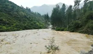 Loreto: río Huallaga ingresa a alerta naranja ante incremento de lluvias