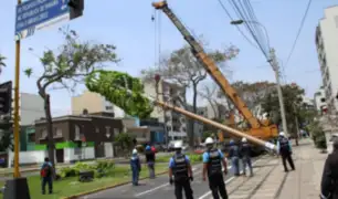 Municipalidad de Miraflores retiró antena de telefonía sin autorización