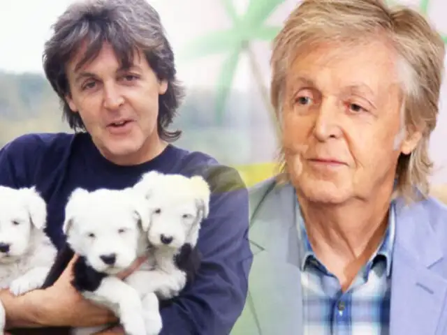 Paul McCartney relanza canción para frenar la experimentación animal
